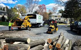 Reliable Bel Ridge, MO  Tree Services Solutions